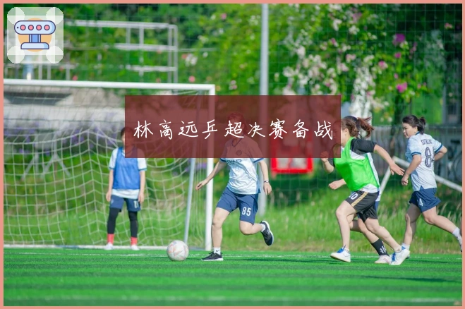 林高远乒超决赛备战